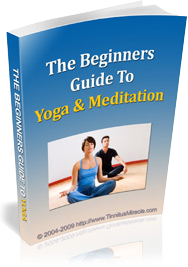 BONUS #2 The Beginner's Guide To Yoga and Meditation